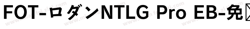 FOT-ロダンNTLG Pro EB字体转换